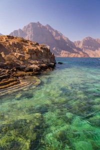 Dolphins in Khasab Oman