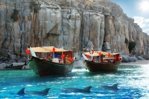 Dolphins in Khasab Oman