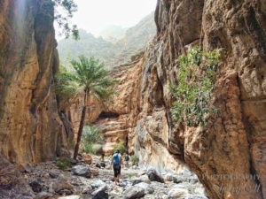 Hiking in Salalah
