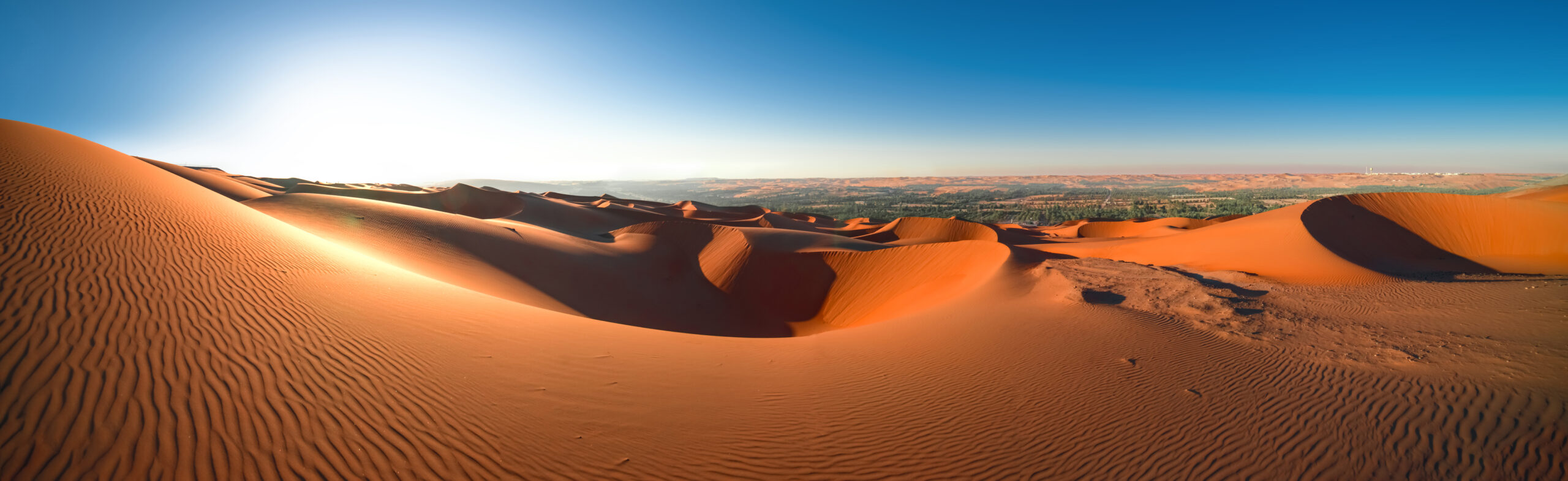 Desert Safari at Empty Quarter