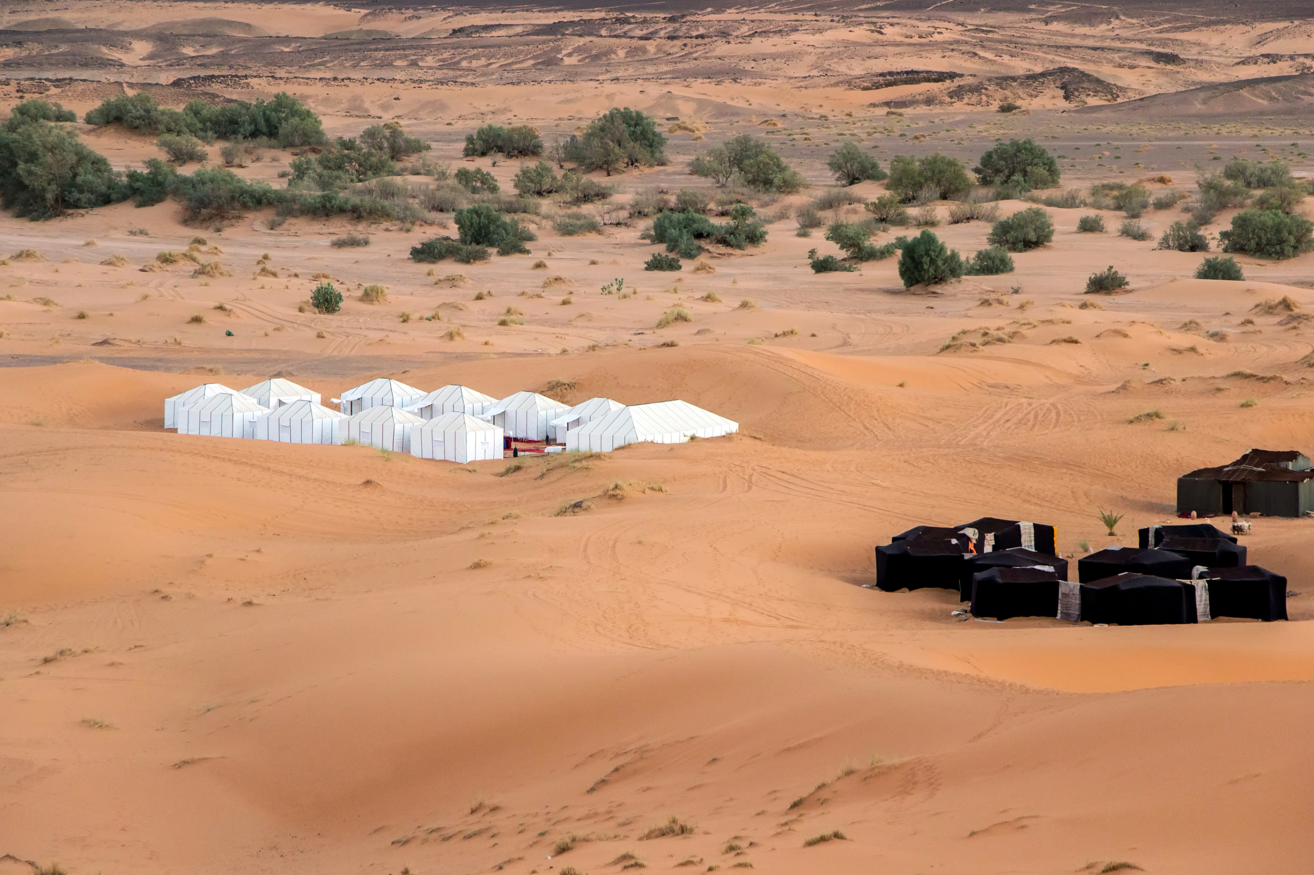 Camping Safari tents