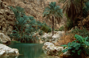 Wadi Shab