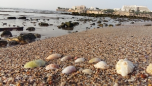 View of Al Qurum Beach