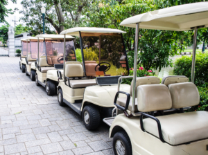 Tourism Carts