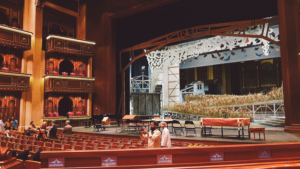 Royal Opera Inside view