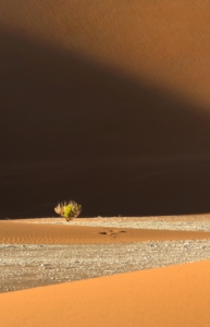 Empty Quarter desert in Oman