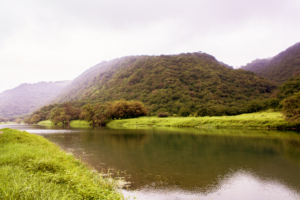 View at Wadi Darbat