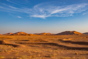 Dunes in the evening 