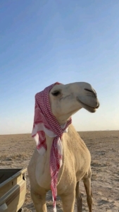 Oman 