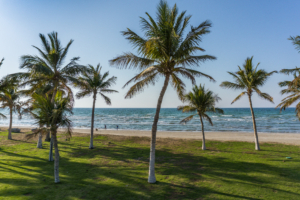 Muscat Qurum Beach Oman