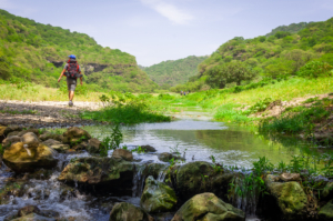 View of Salalah Camping