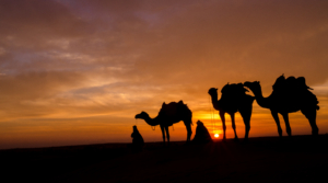 Sunrise Muscat safari desert