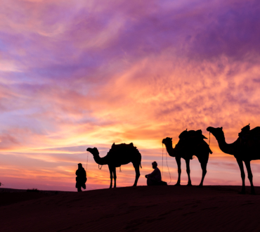 Muscat Desert Safari