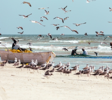 Beach Oman Fishing