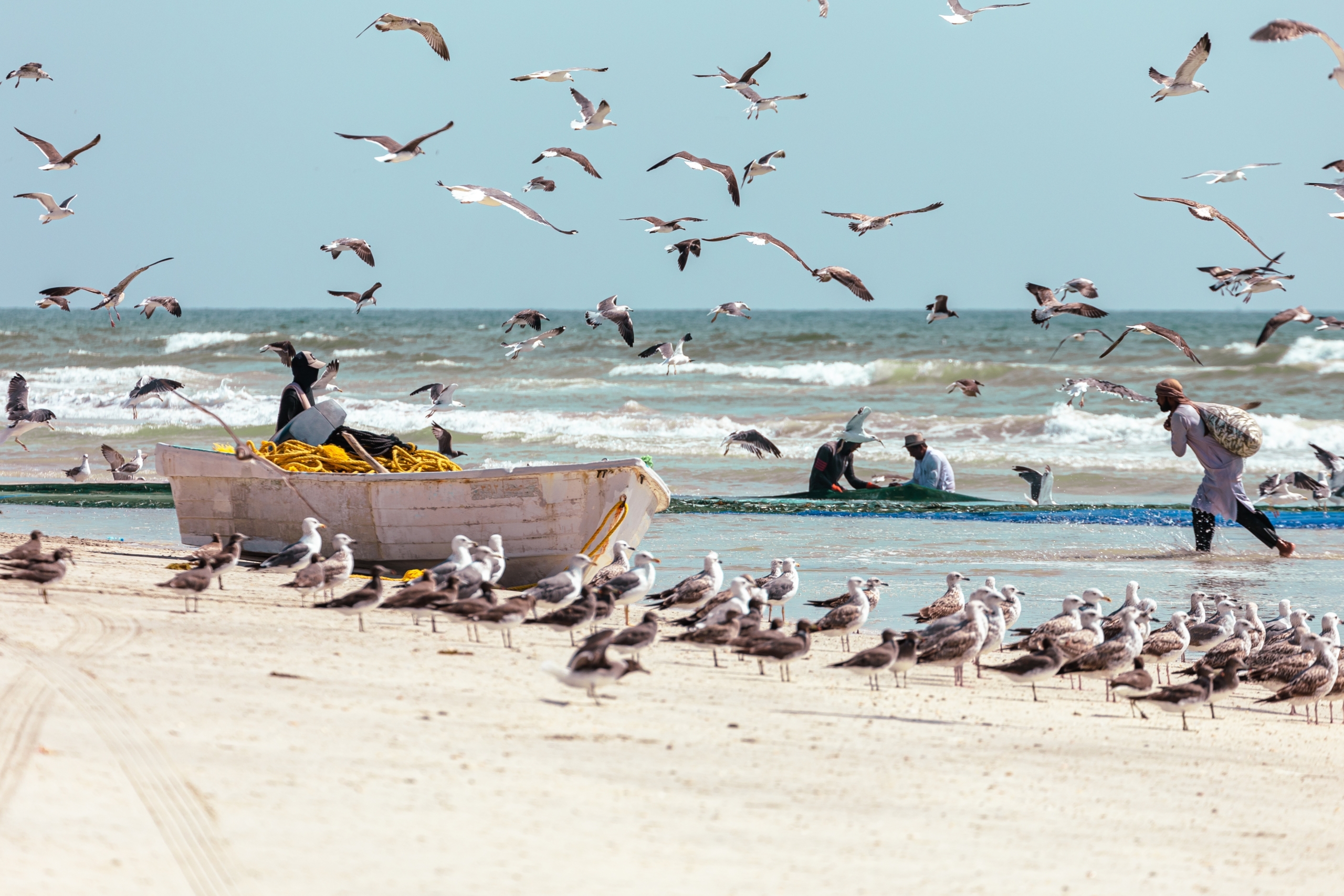 Beach Oman Fishing