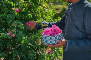 Spring in Nizwa
