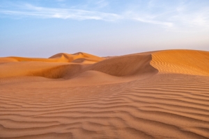 Oman Desert