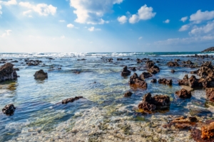 Shuwaymiyah Beach