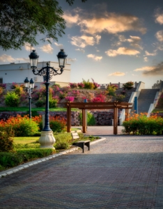 Scene of Qurum Natural Park