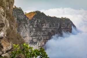 The Khareef in Salalah