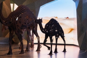 Interior View Of Nizwa Oman Museum