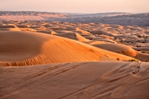 Sandy Muscat Desert Safari