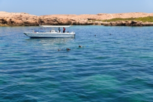 Diving in Daymaniyat Oman