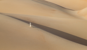 Scene of The Empty quarter 