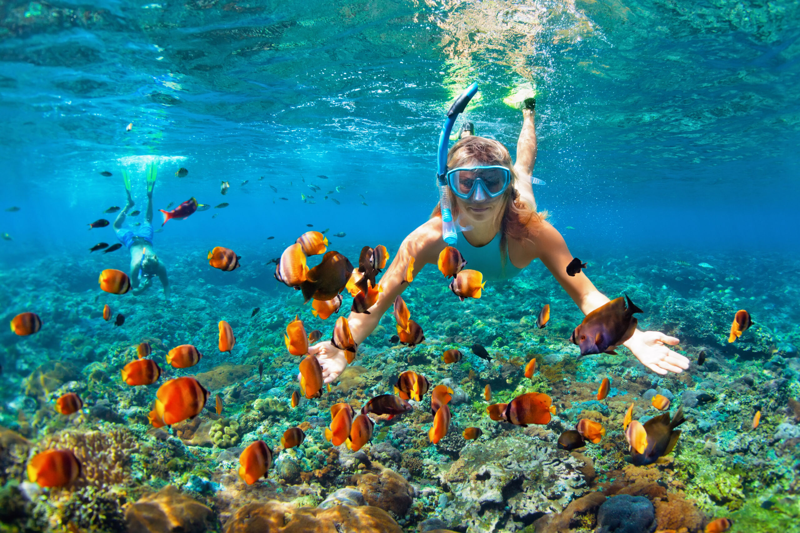 Snorkeling In Mirbat Salalah