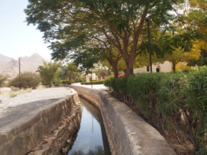 The Falaj Daris