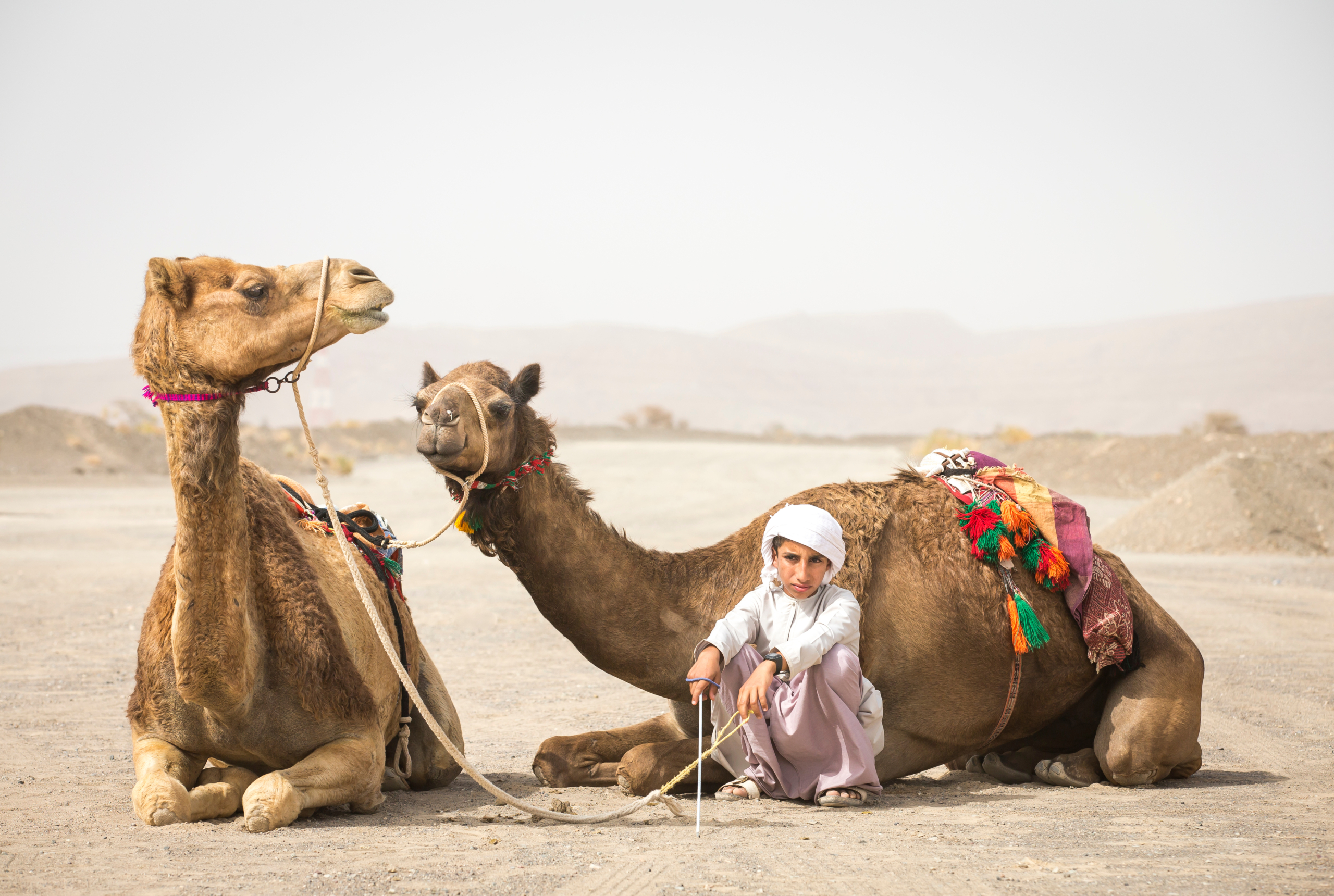 Camel Fort