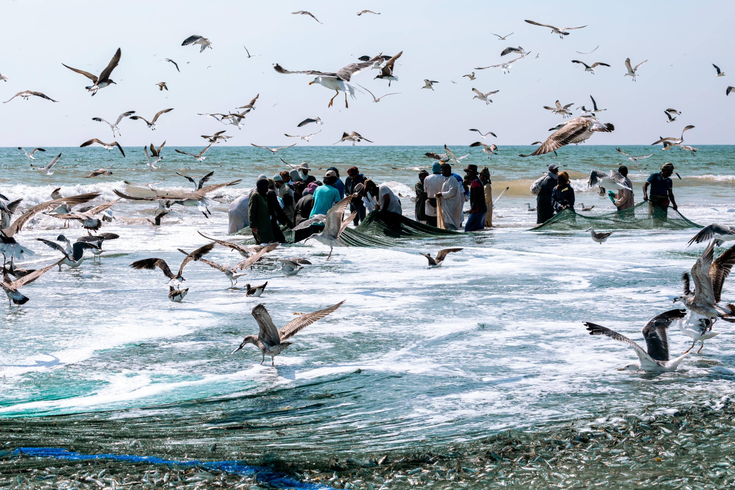 Fishing Trip In Salalah