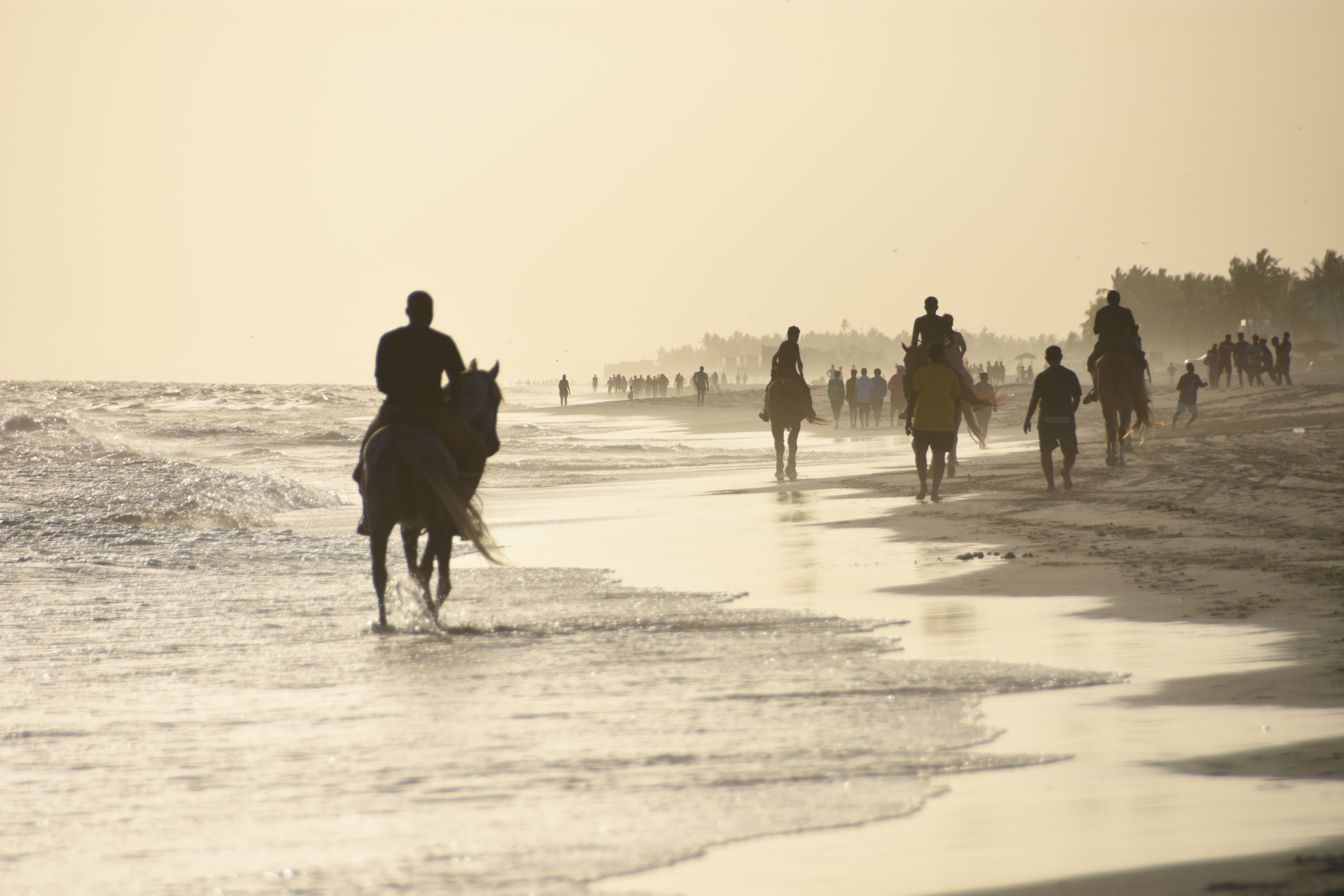 Salalah Oman Horse Riding
