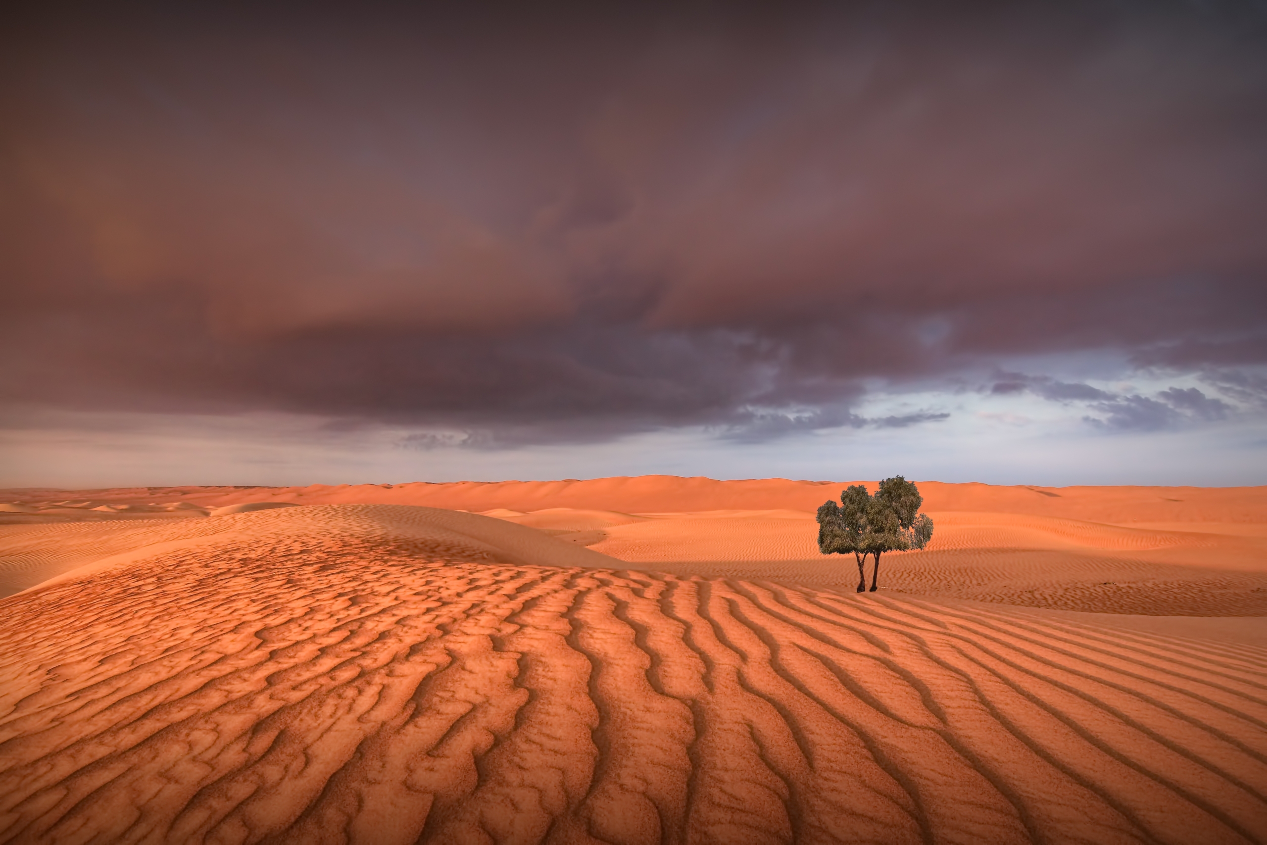 Empty Quarter Oman