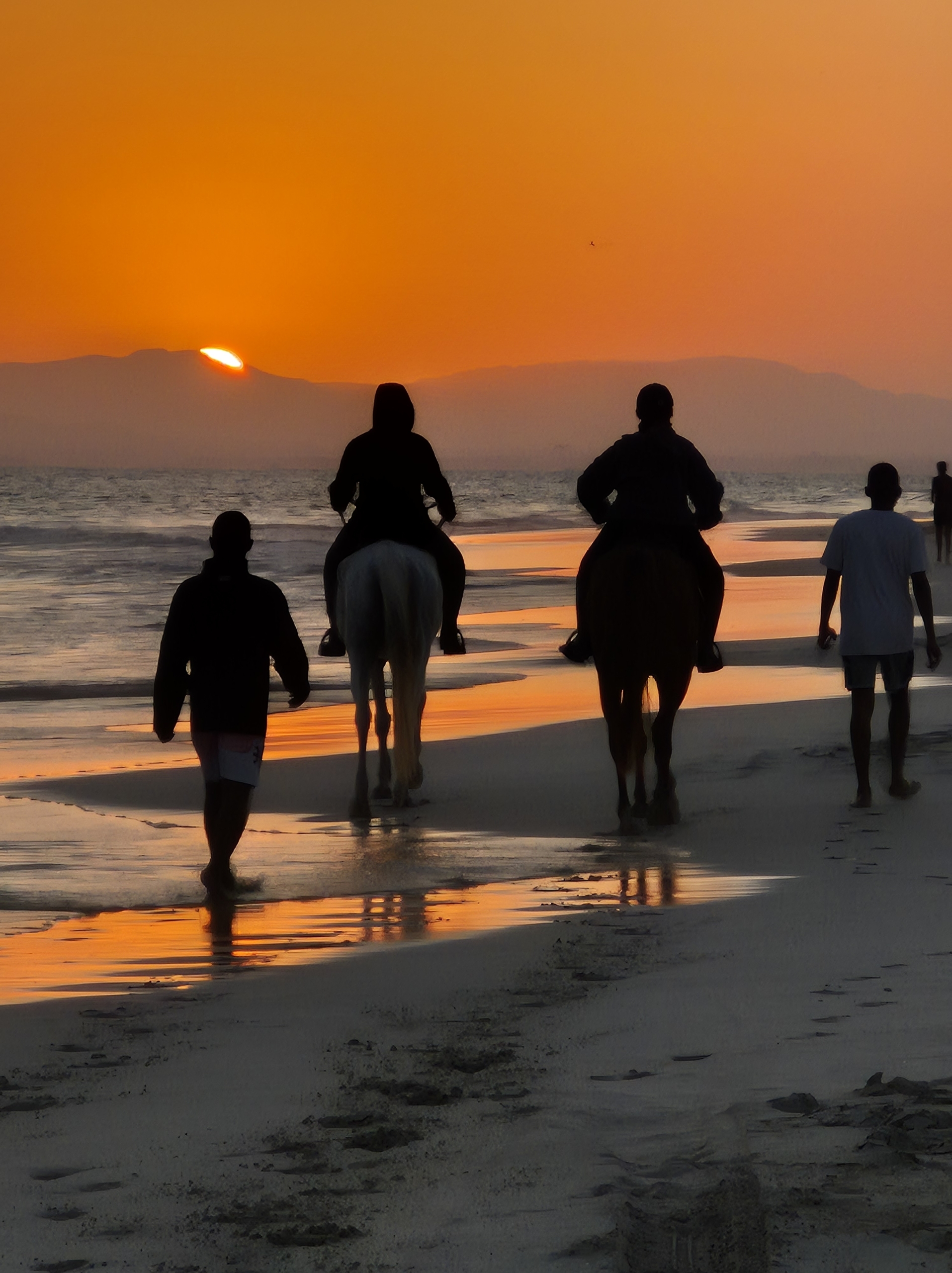 Horse Riding in Salalah Beach