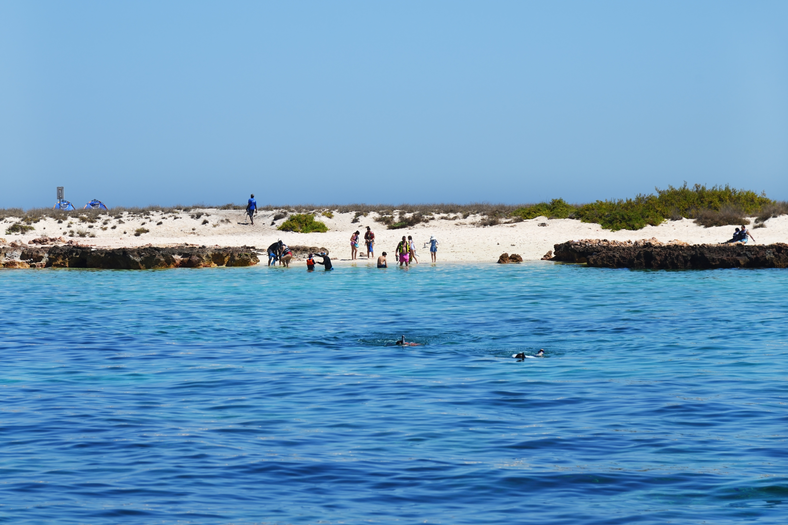 daymaniyat islands snorkeling